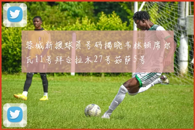 蓉城新援球员号码揭晓韦林顿席尔瓦11号拜合拉木27号茹萨5号
